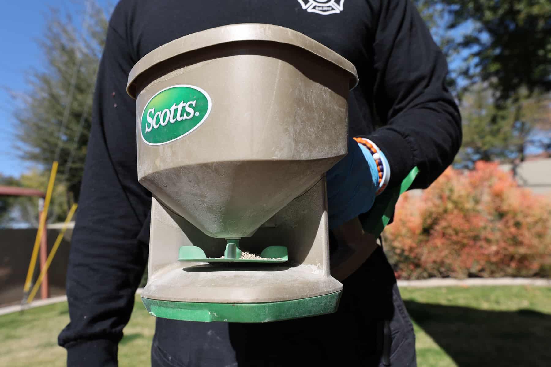 Non toxic pest control services near me