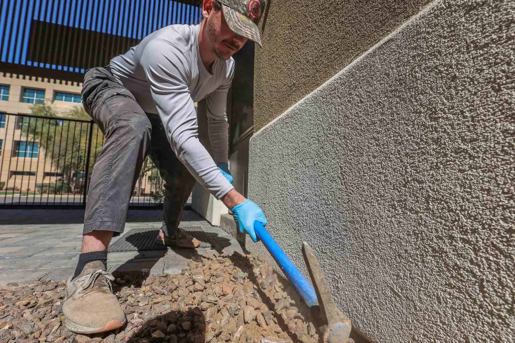 Termite warranty to protect your home or office