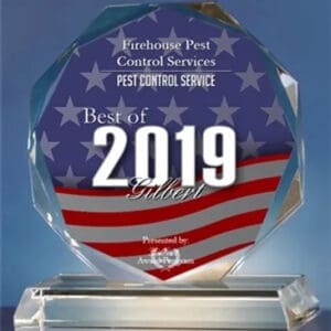 2019 Best of Gilbert