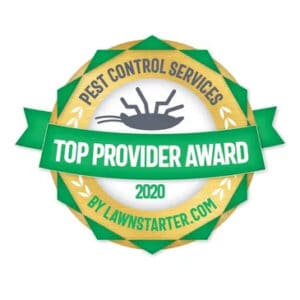 2020 Top Provider