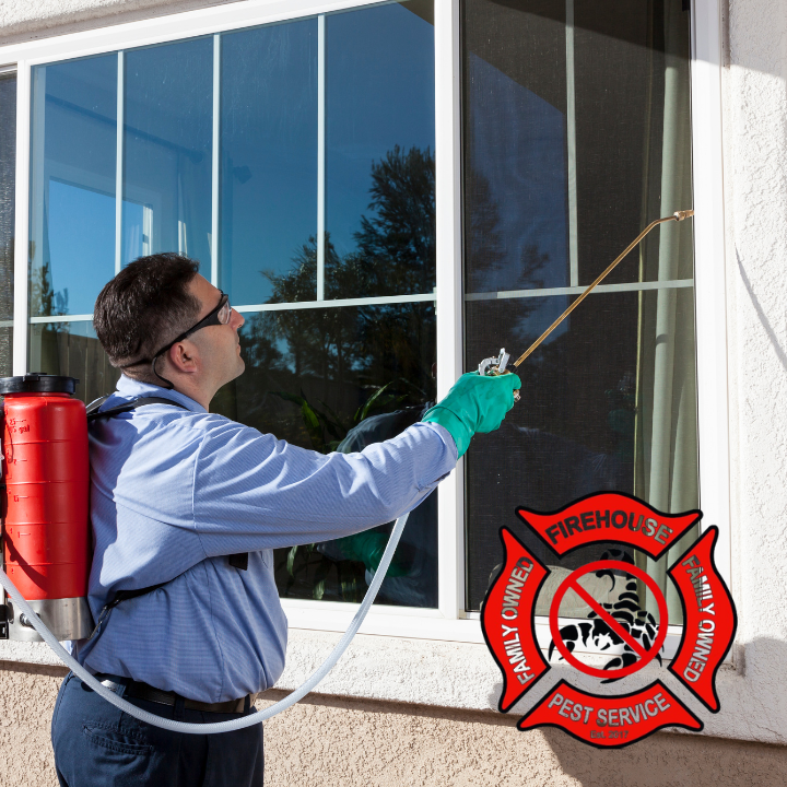 gilbert pest control gilbert pest control treatments near me