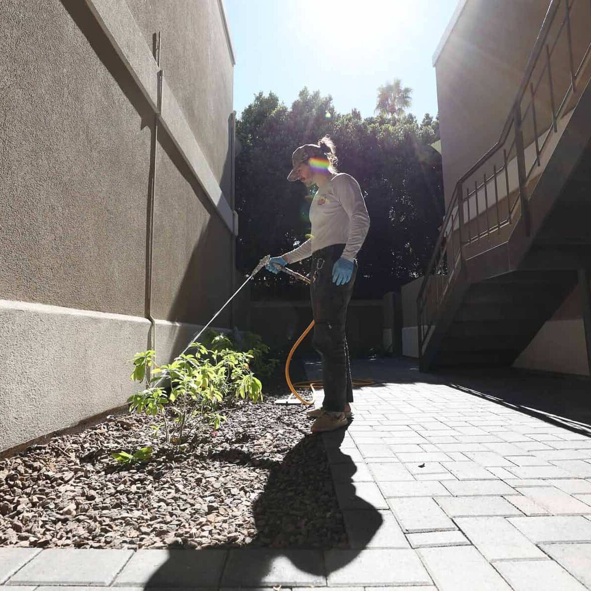 Goodyear pest control near me. termites & Scorpion treatment